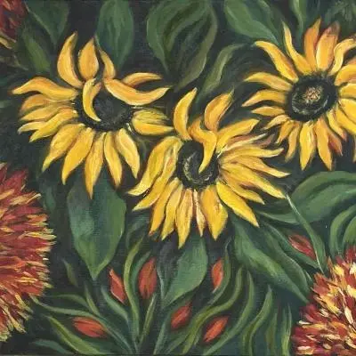 Girasoli
