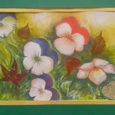 Primavera in arrivo