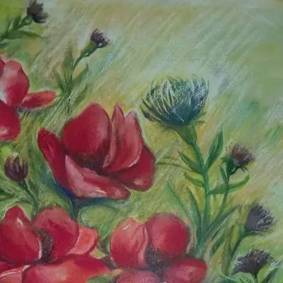 Fioriture