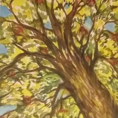Primavera