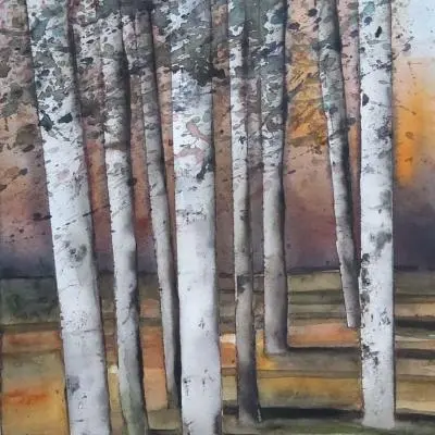 Bosco di betulle