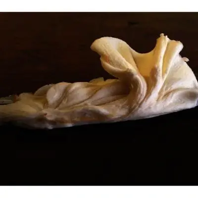 Franca Alleva Burro - Sfumature d´Arte