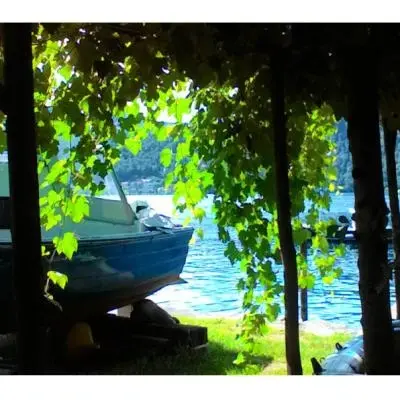 Franca Alleva Lago - Sfumature d´Arte
